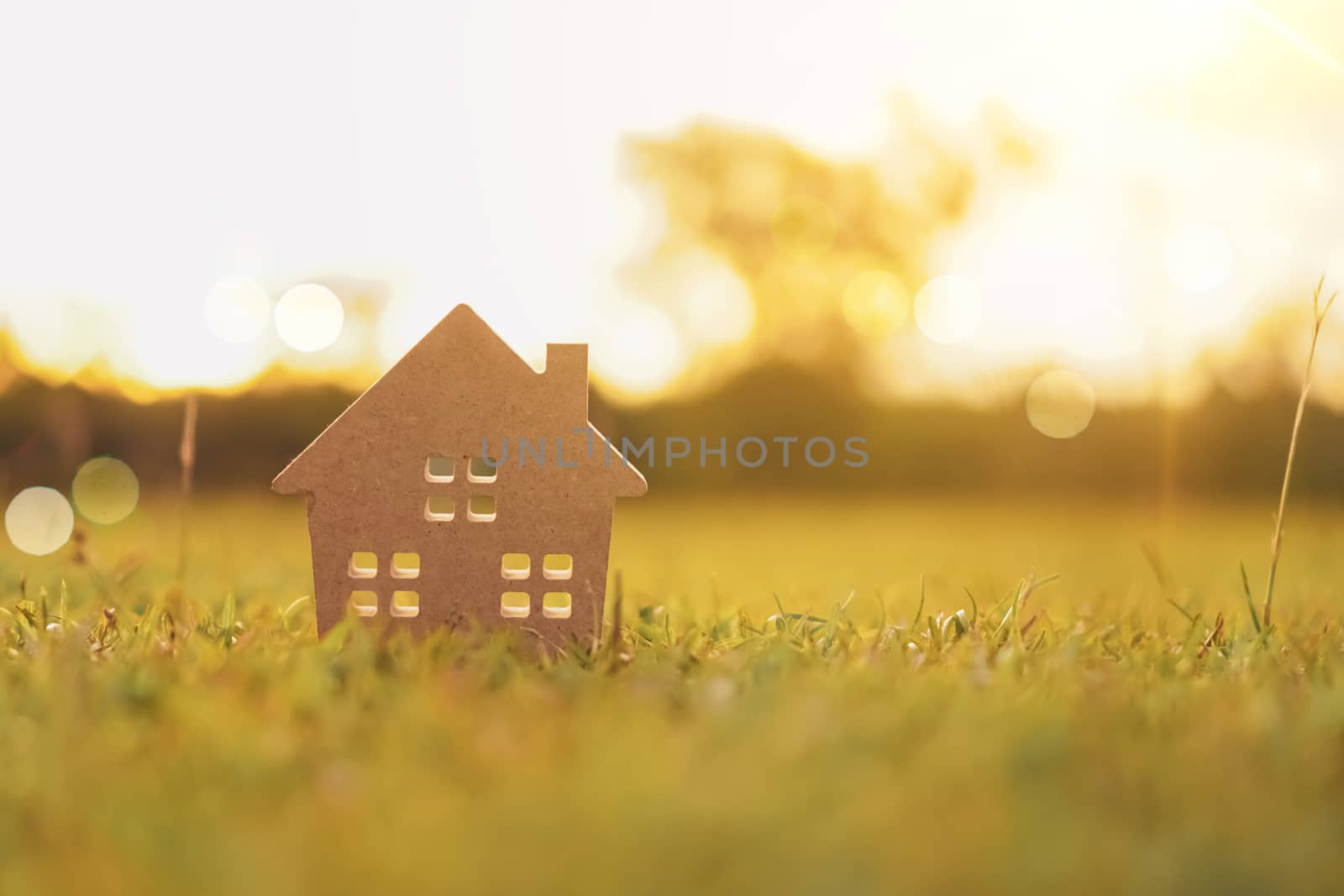 Closed up tiny home model on green grass with sunlight background. by Suwant