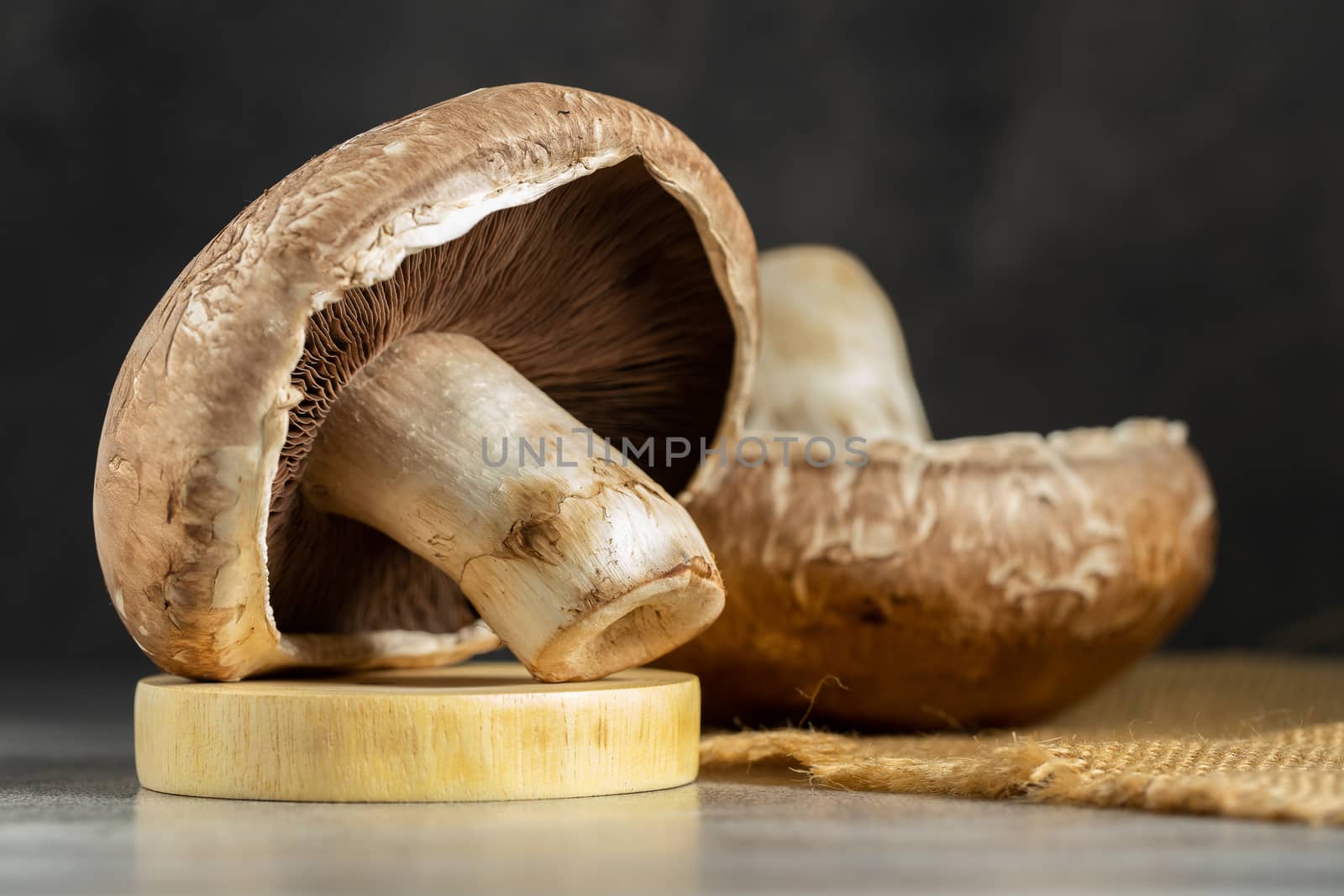 Fresh Portobello Mushroom on wooden board by freedomnaruk