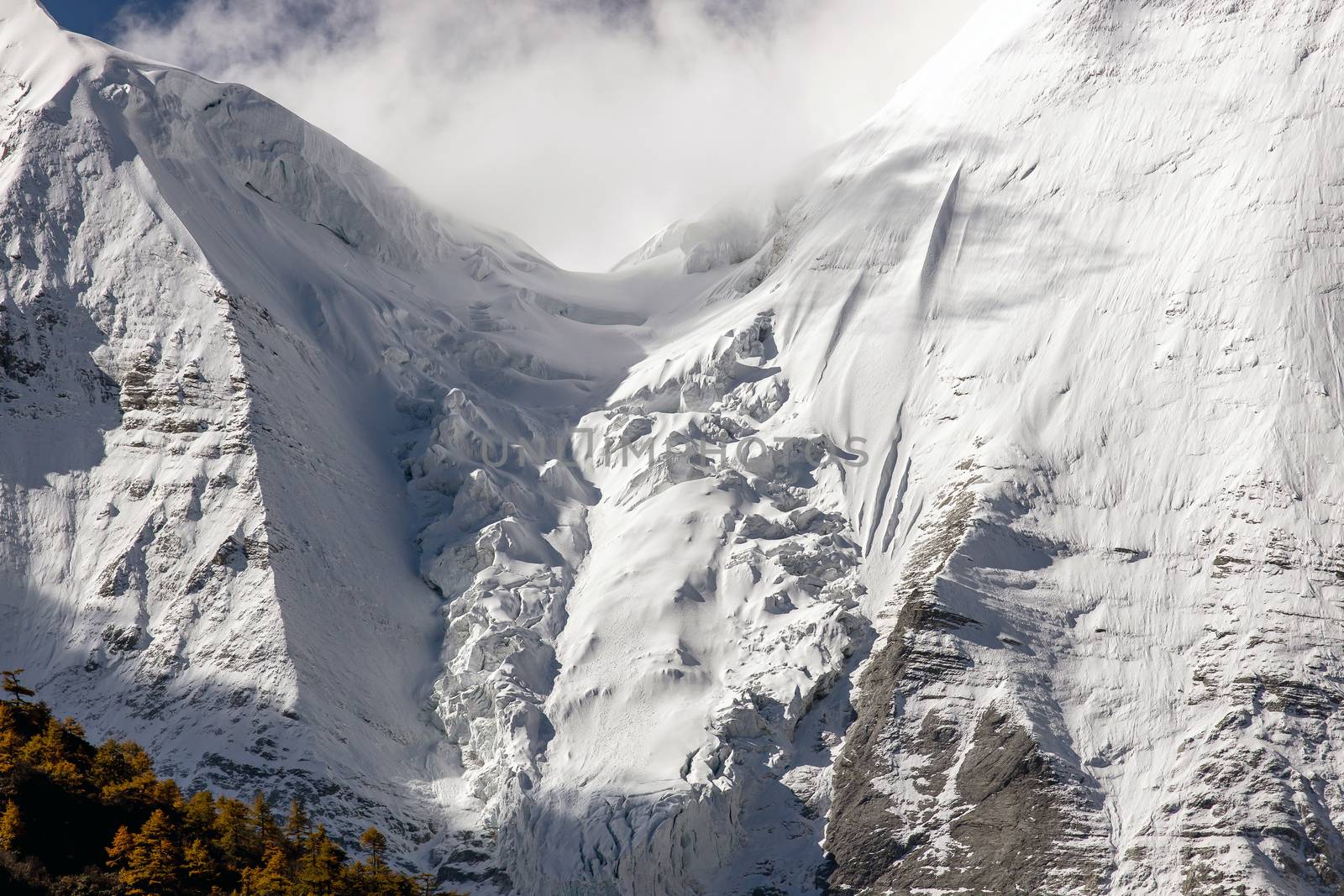 Colorful in autumn forest and snow mountain at Yading nature reserve, The last Shangri la