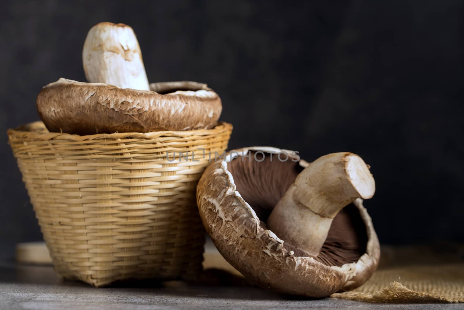 Fresh Portobello Mushroom on wooden board by freedomnaruk