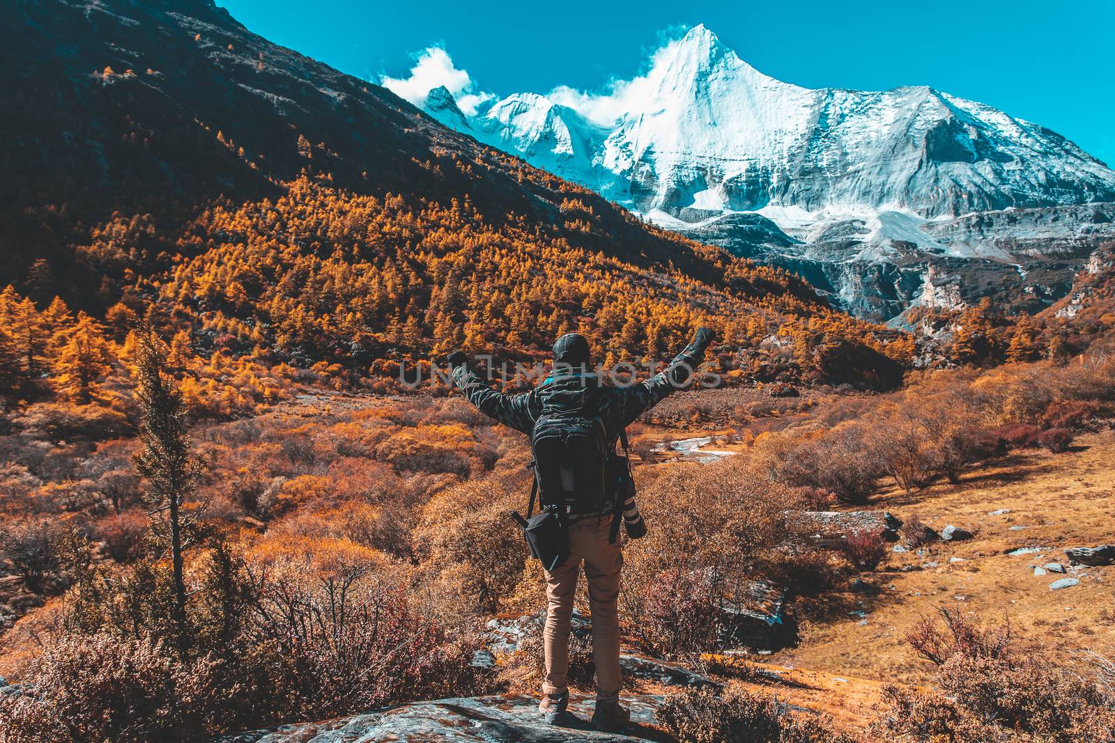 Colorful in autumn forest and snow mountain at Yading nature res by freedomnaruk