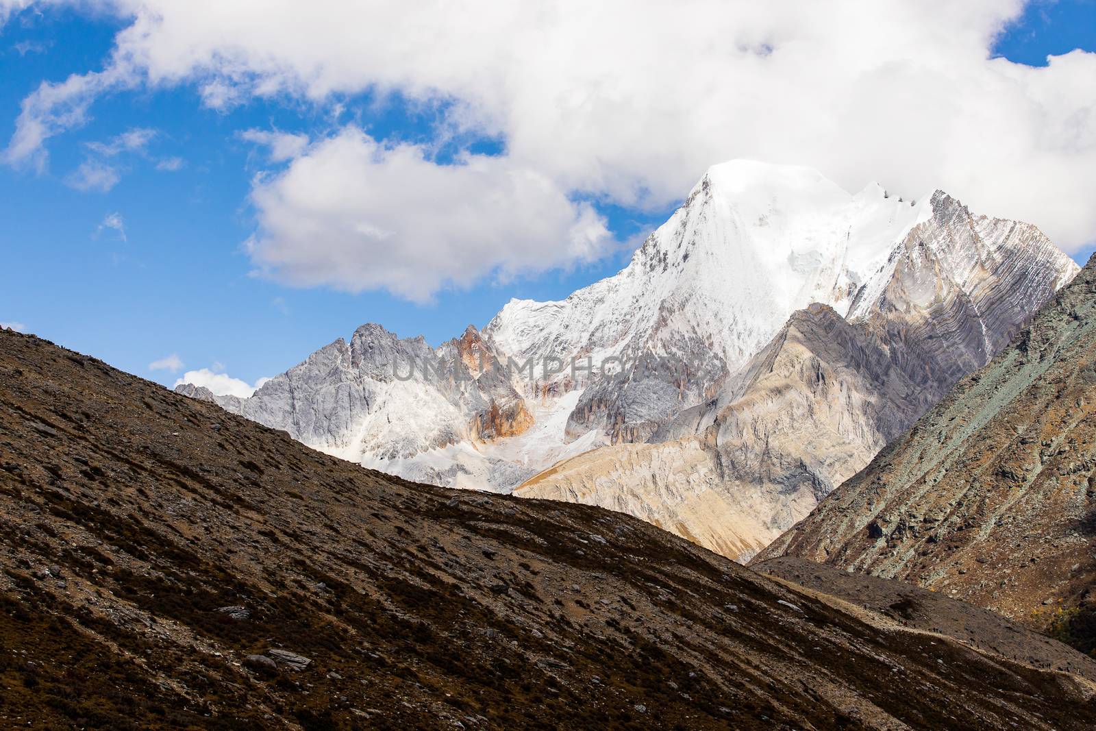 Colorful in autumn forest and snow mountain at Yading nature res by freedomnaruk