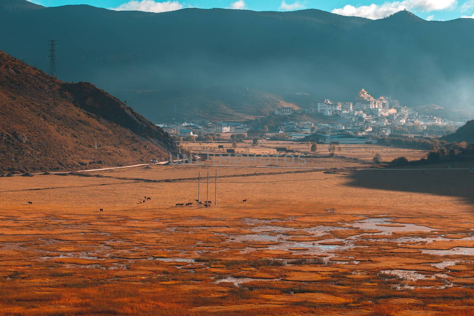 Songzanlin Temple also known as the Ganden ( Shangri-La), Yunnan by freedomnaruk