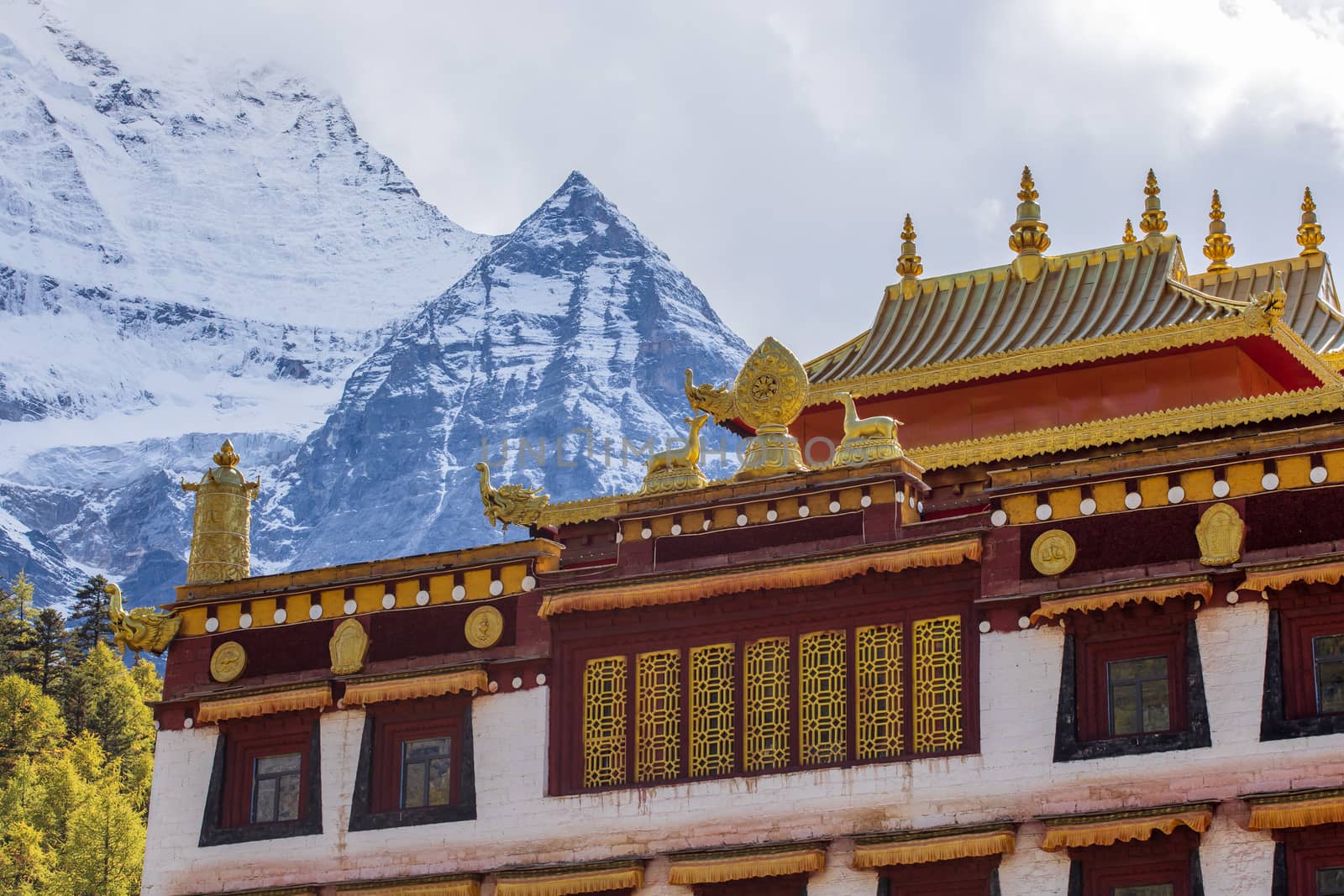 chong gu temple with snow mountain at daocheng,yading,china by freedomnaruk