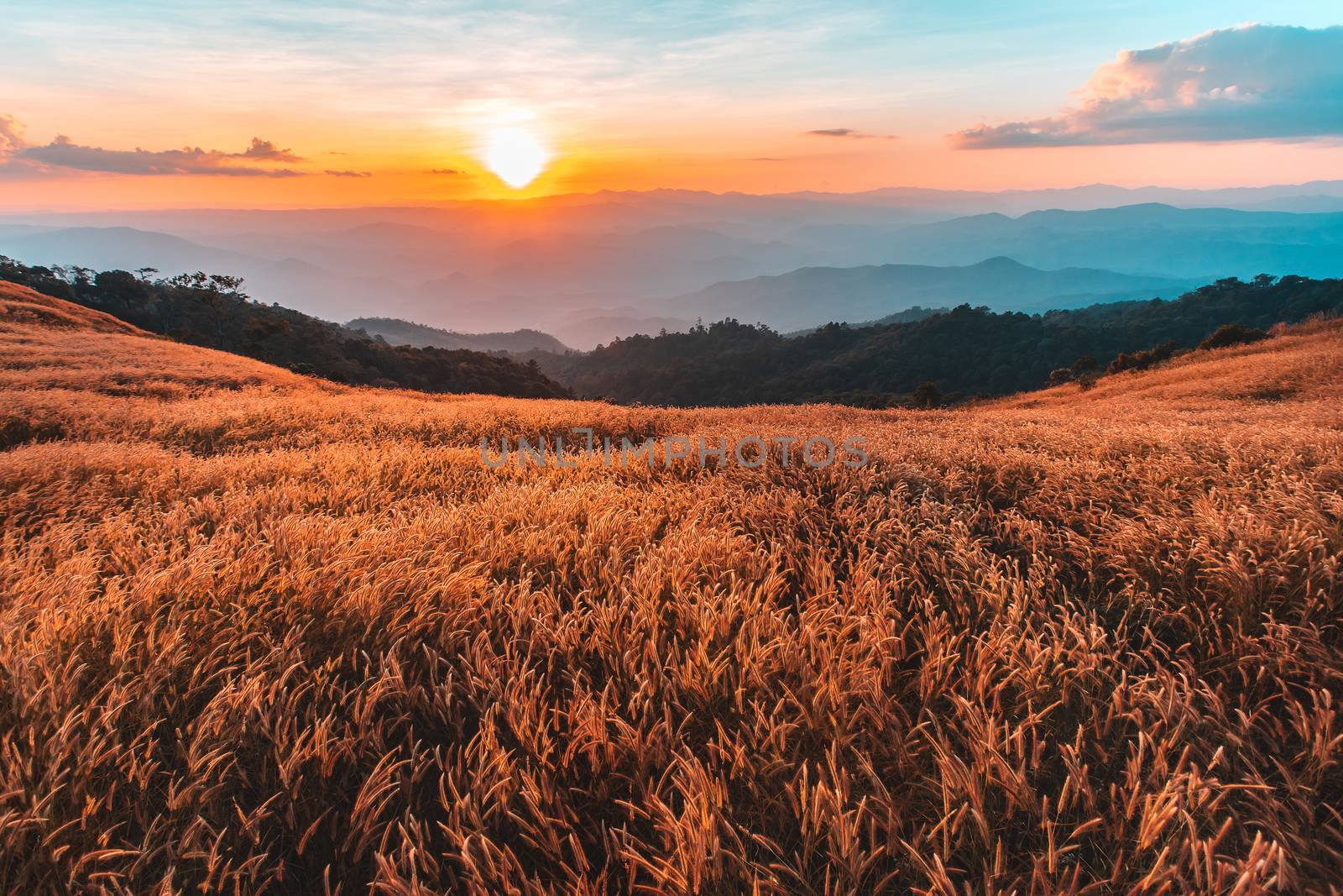 colorful dramatic sky with cloud at sunset in the mountains by freedomnaruk