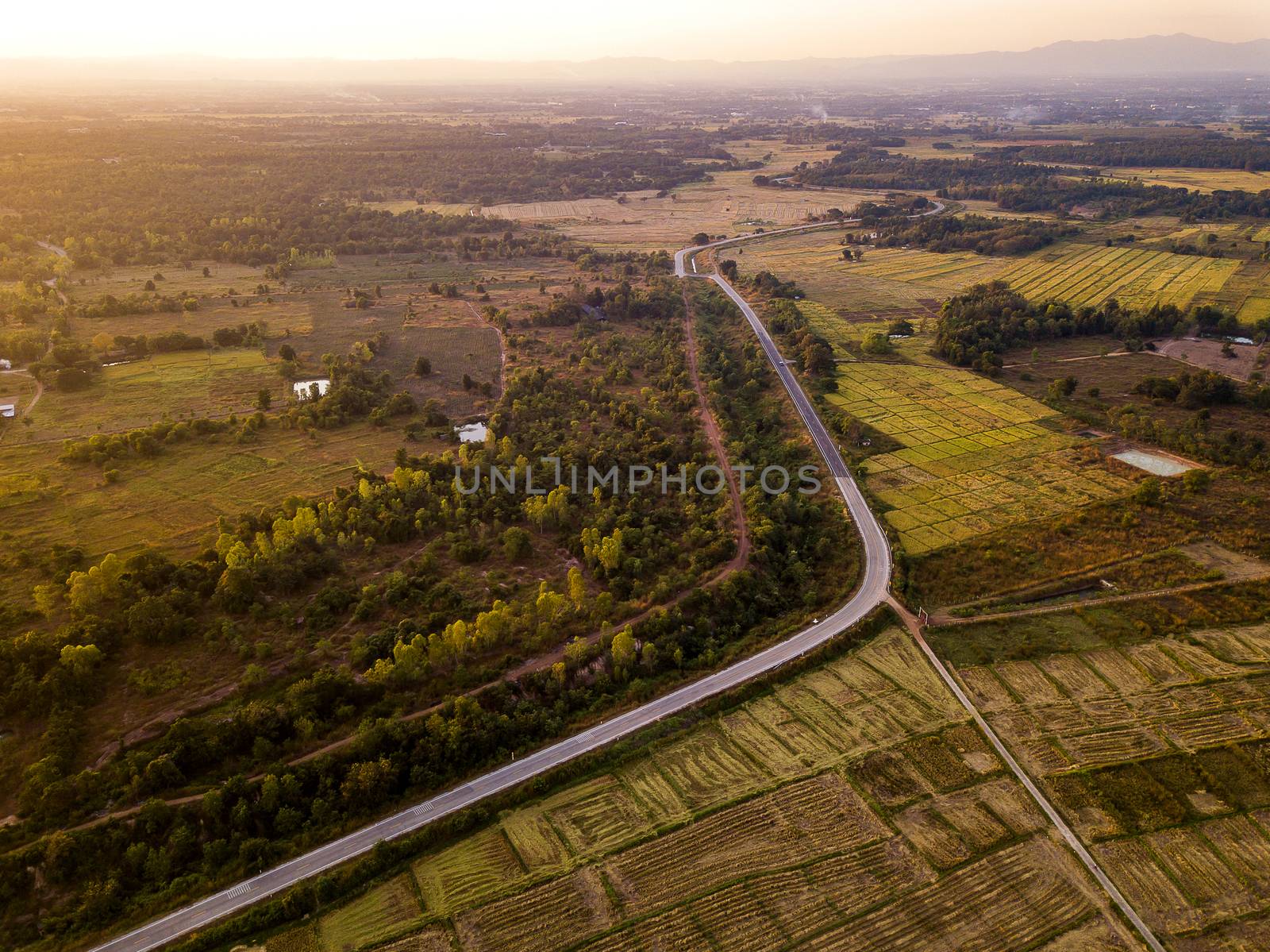 Top view aerial photo from drone of Rice fields with cottages