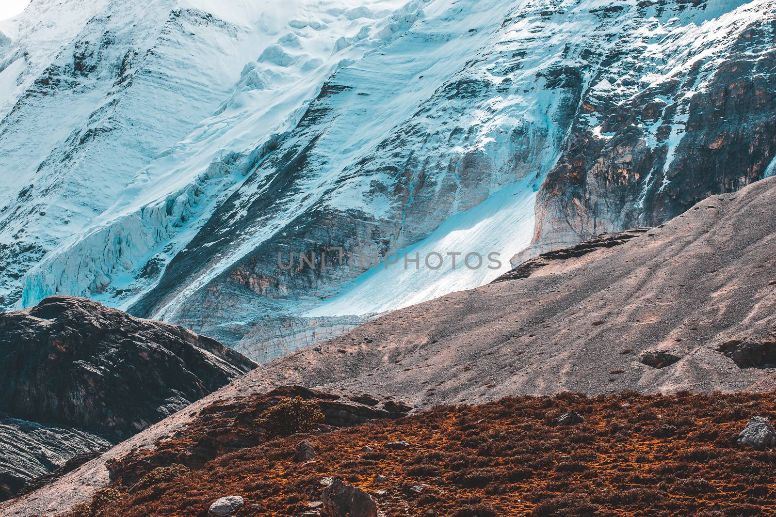 Colorful in autumn forest and snow mountain at Yading nature res by freedomnaruk