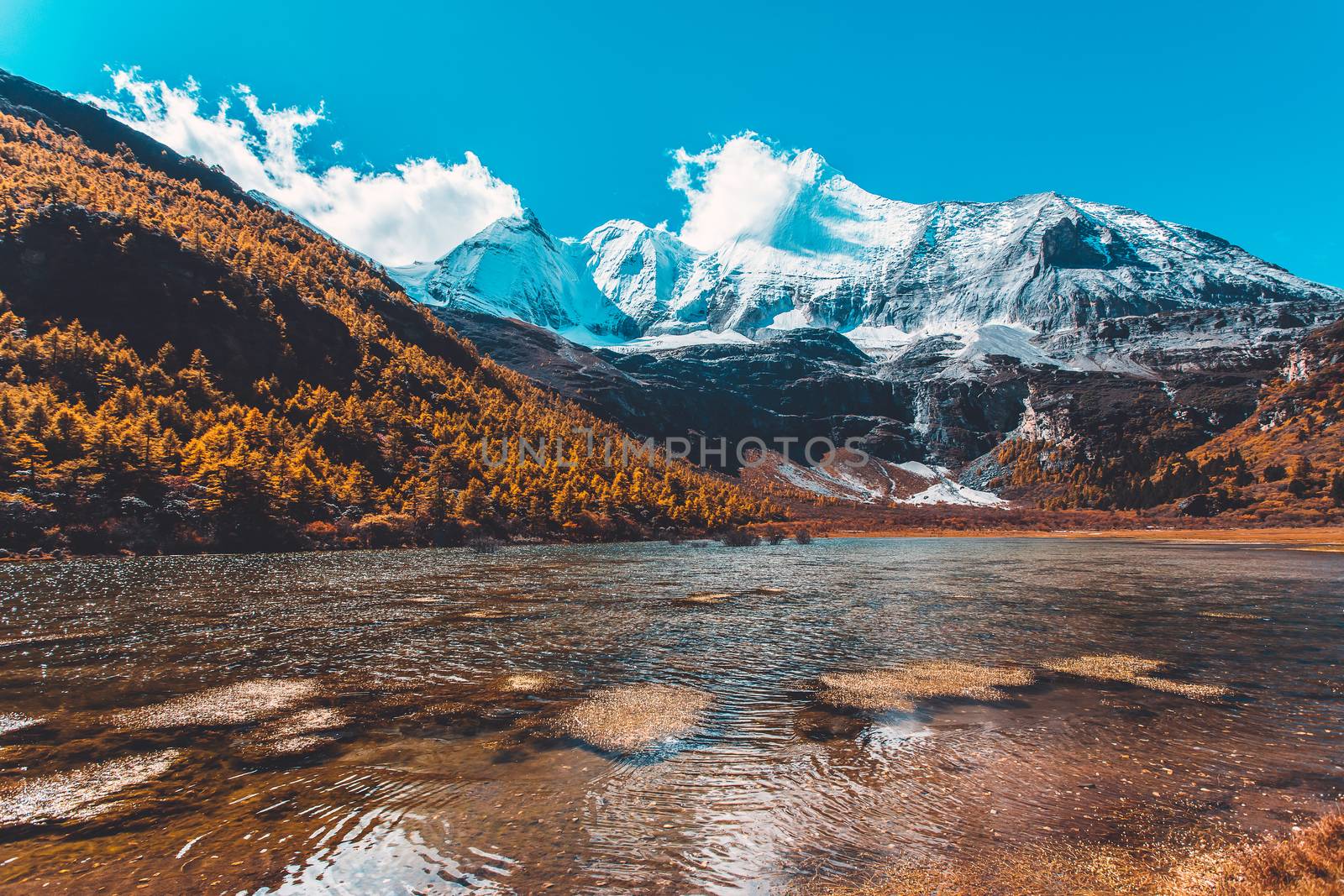 Pearl Lake or Zhuoma La Lake and snow mountain in autumn in Yading Nature reserve, Sichuan, China.