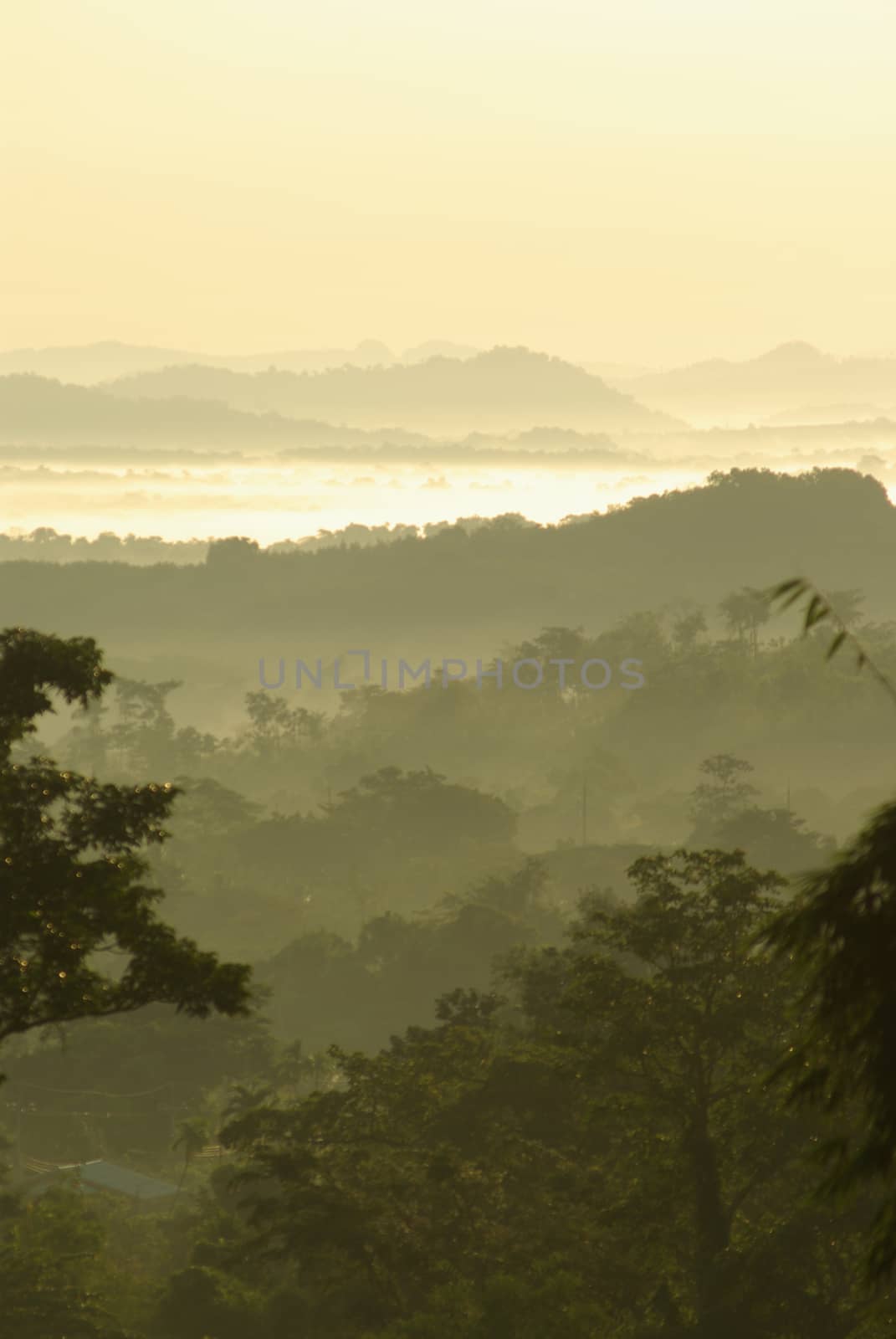 mist on sky over the mountain in the morning light of the countryside