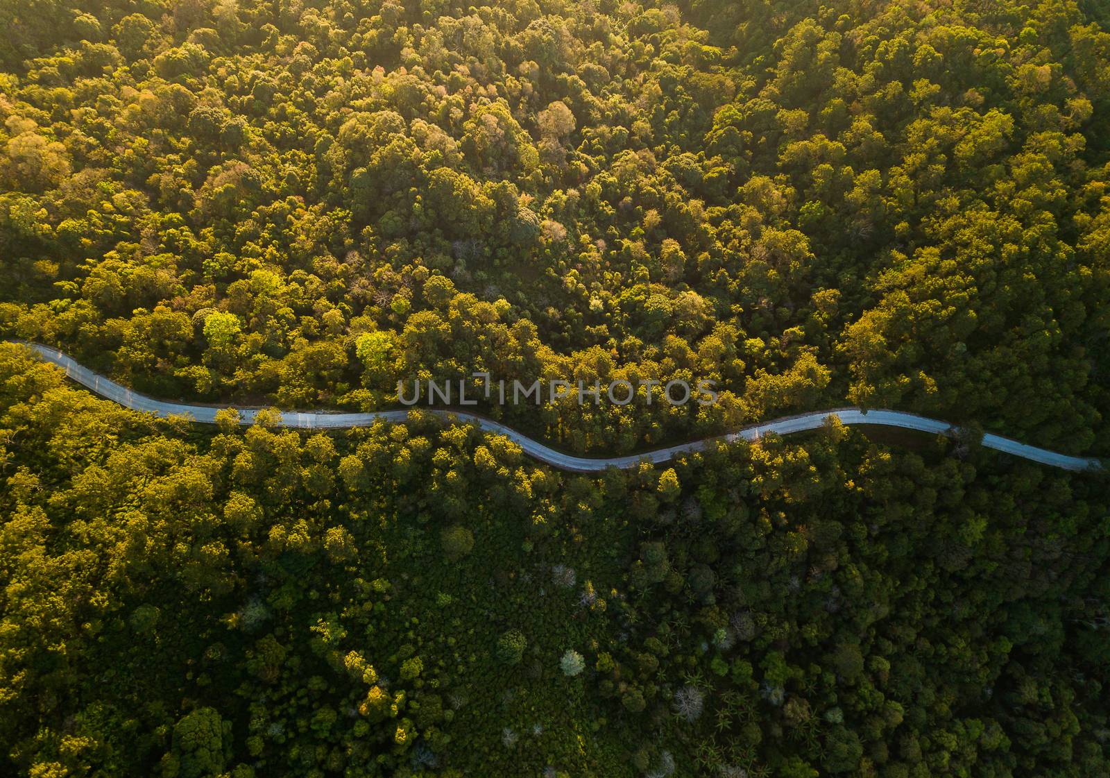 Top view ofcountryside road passing through the green forrest an by freedomnaruk