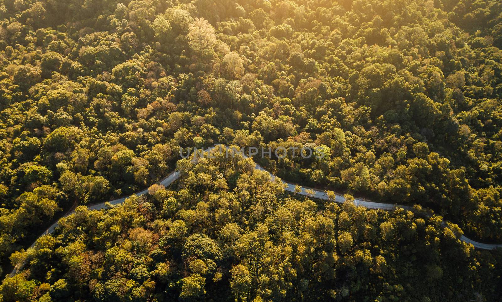 Top view of countryside road passing through the green forrest a by freedomnaruk