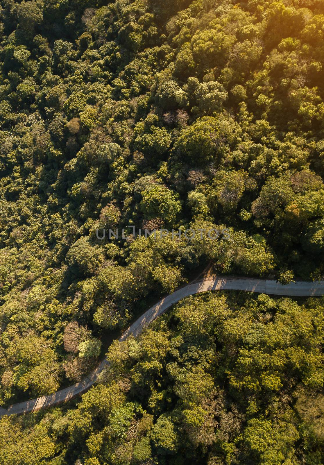 Top view of countryside road passing through the green forrest and mountain