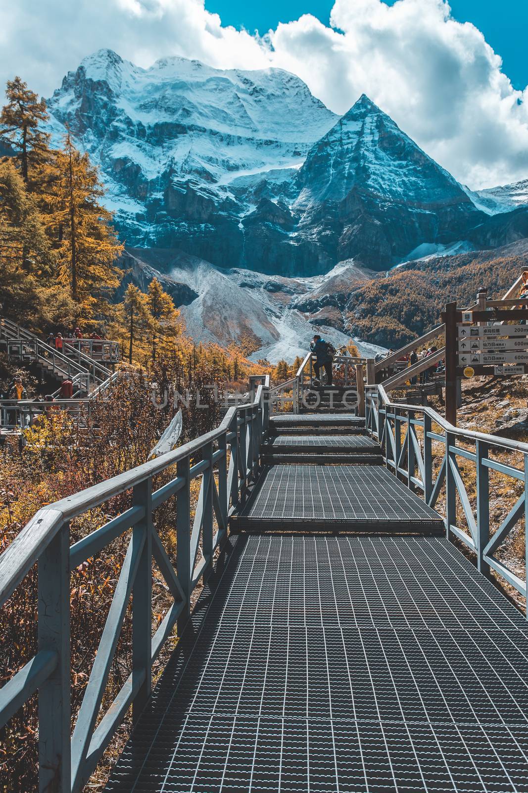 Colorful in autumn forest and snow mountain at Yading nature reserve, The last Shangri la