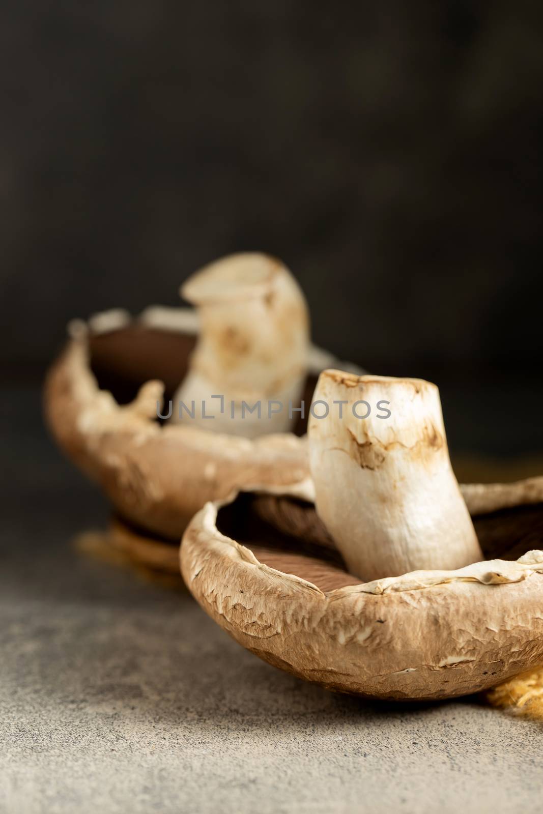 Fresh Portobello Mushroom on wooden board