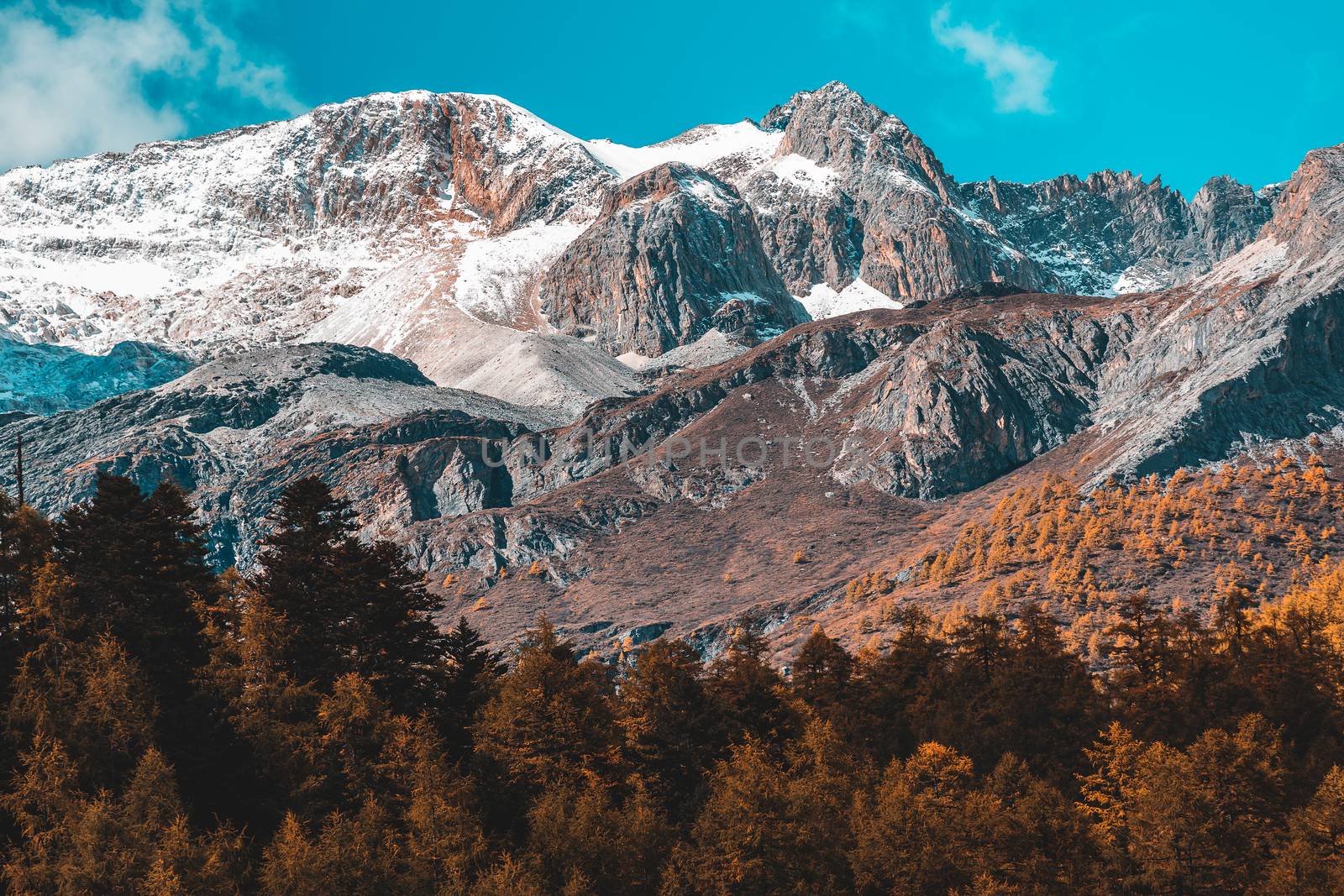 Colorful in autumn forest and snow mountain at Yading nature res by freedomnaruk