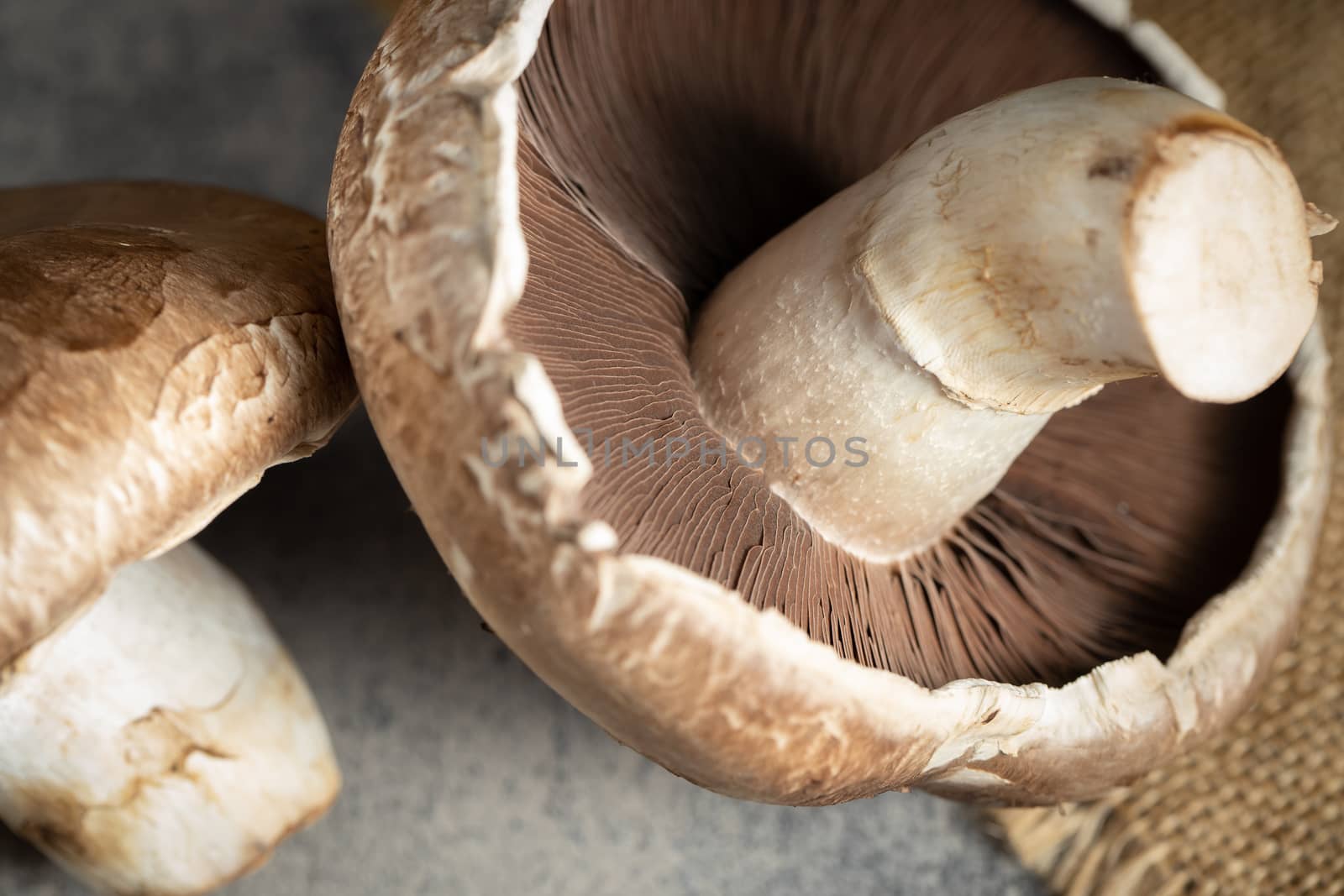 Fresh Portobello Mushroom on wooden board by freedomnaruk