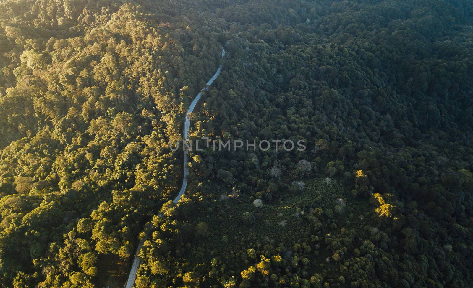 Top view of countryside road passing through the green forrest and mountain