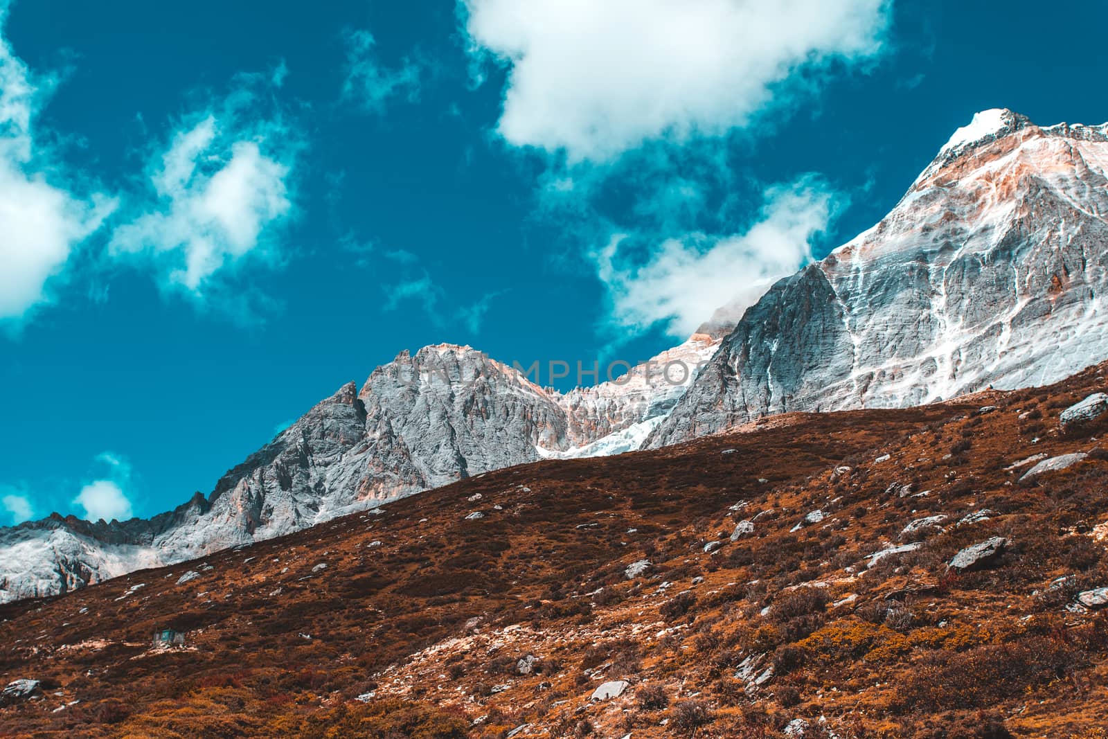 Colorful in autumn forest and snow mountain at Yading nature reserve