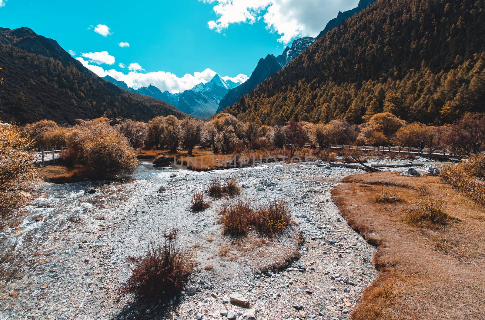 Colorful in autumn forest and snow mountain at Yading nature reserve