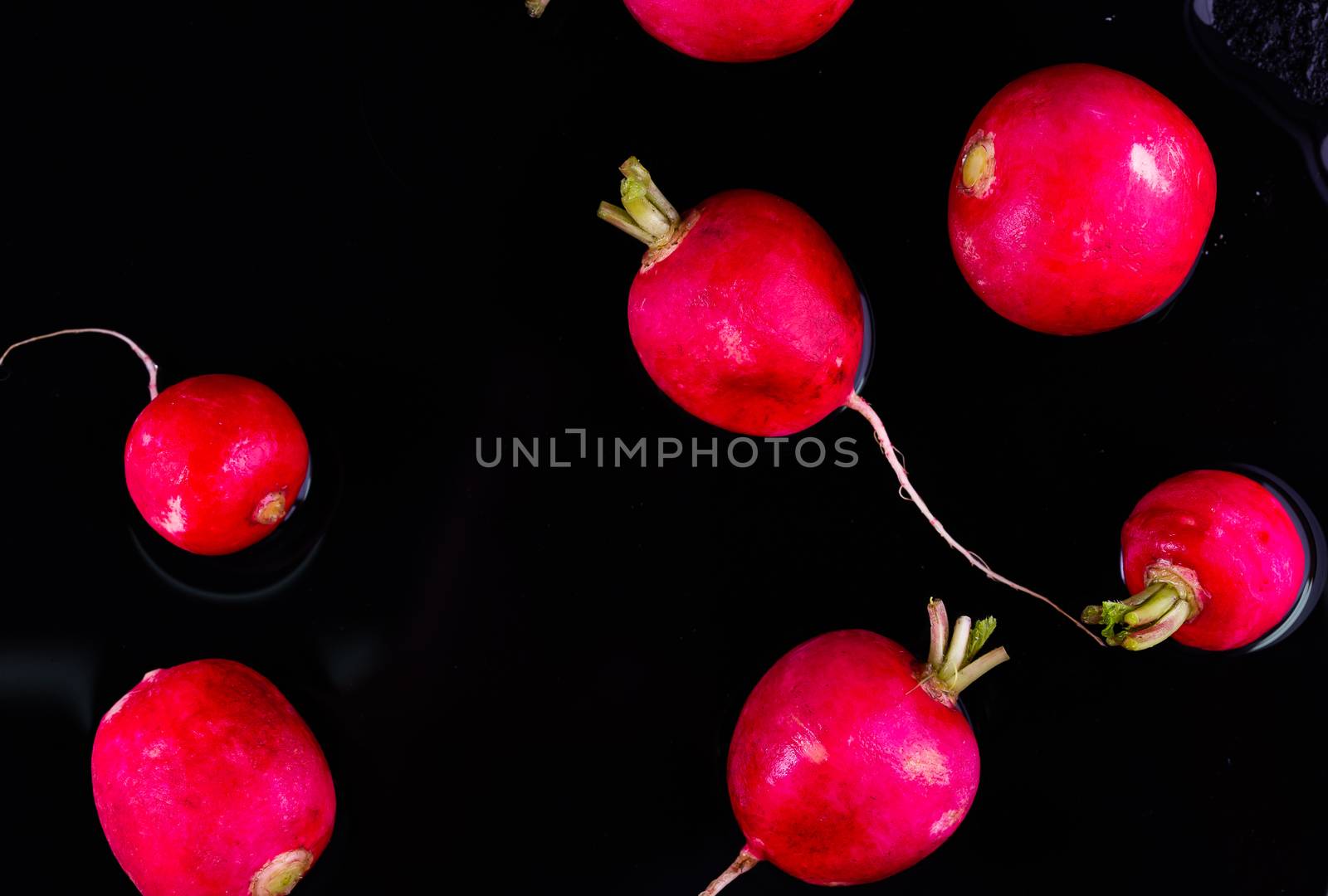 Red fresh radish on black blackground by freedomnaruk