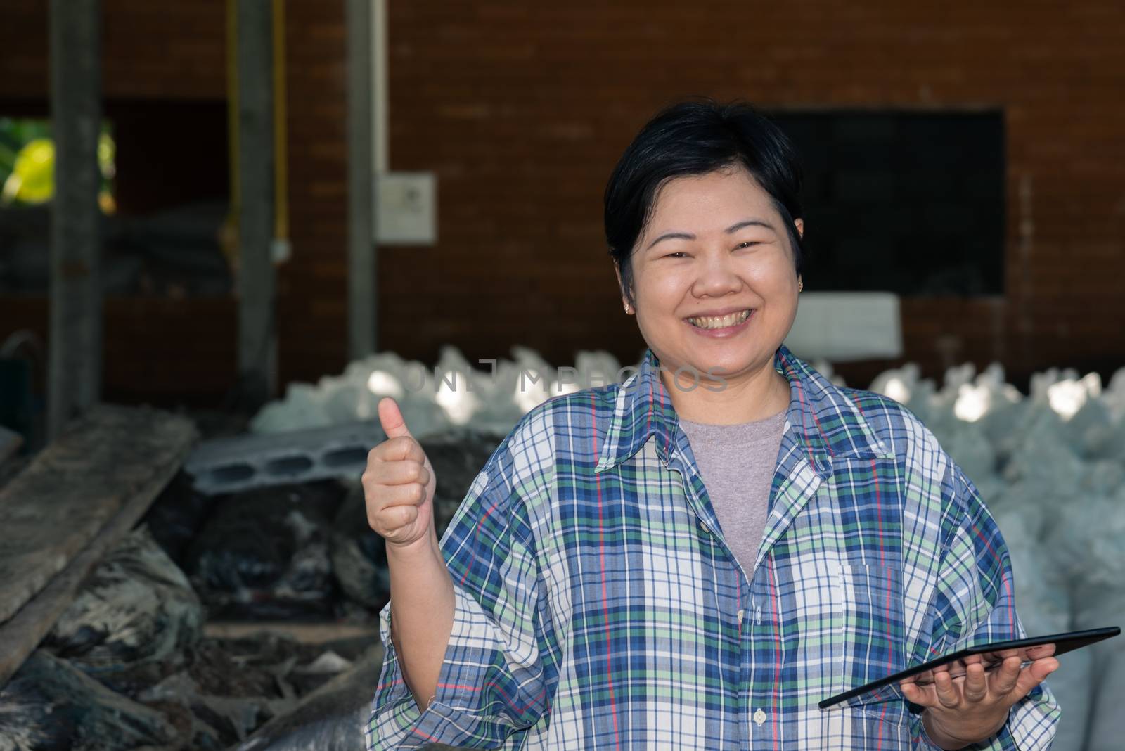 Asian woman smart farmer agriculturist happy at a Fertilizer composting plant with Organic Fertilizer, Compost (Aerobic Microorganisms) from animal waste for use in the organic agriculture industry