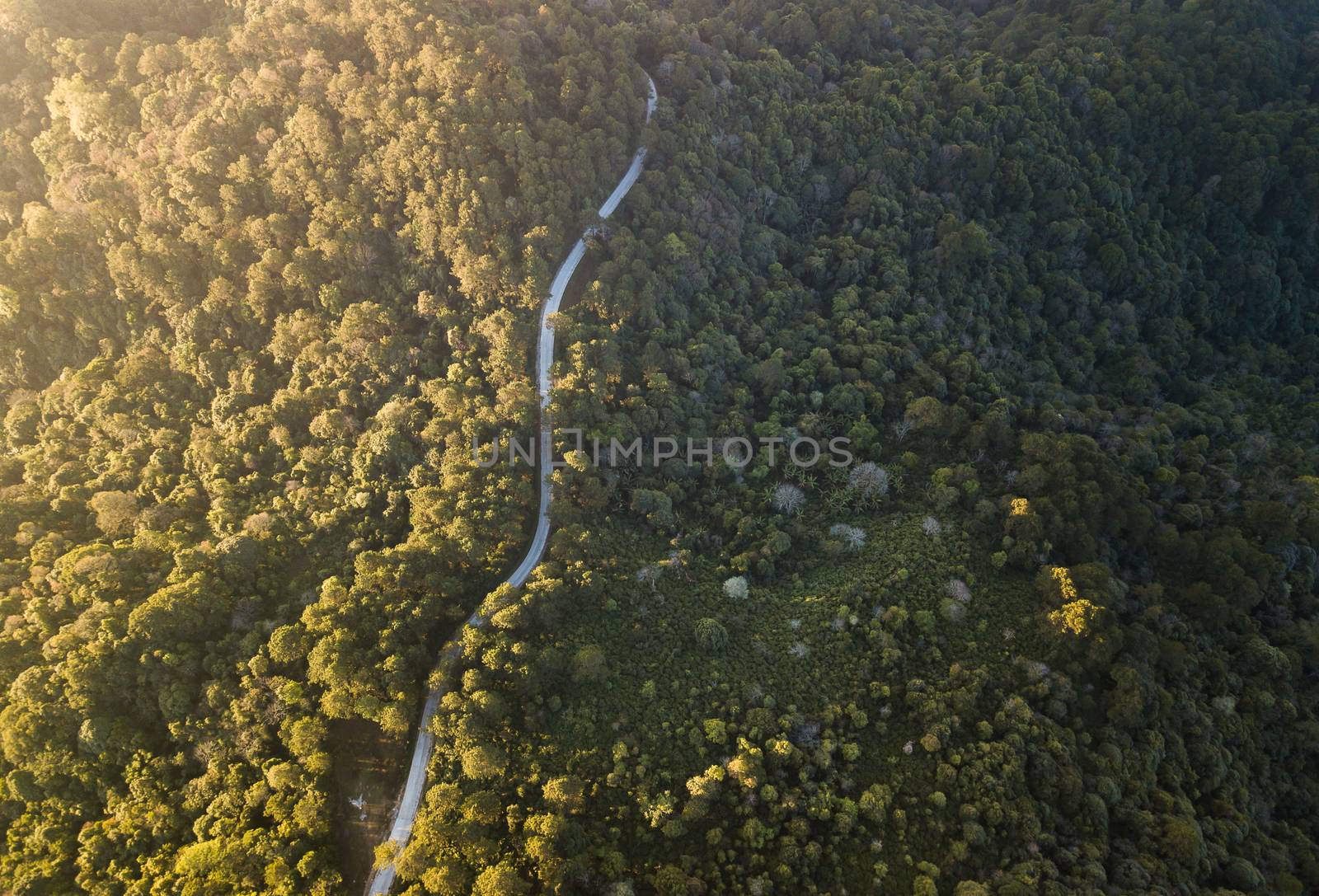 Top view ofcountryside road passing through the green forrest and mountain