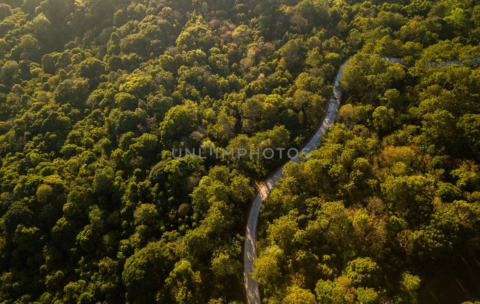 Top view of countryside road passing through the green forrest a by freedomnaruk