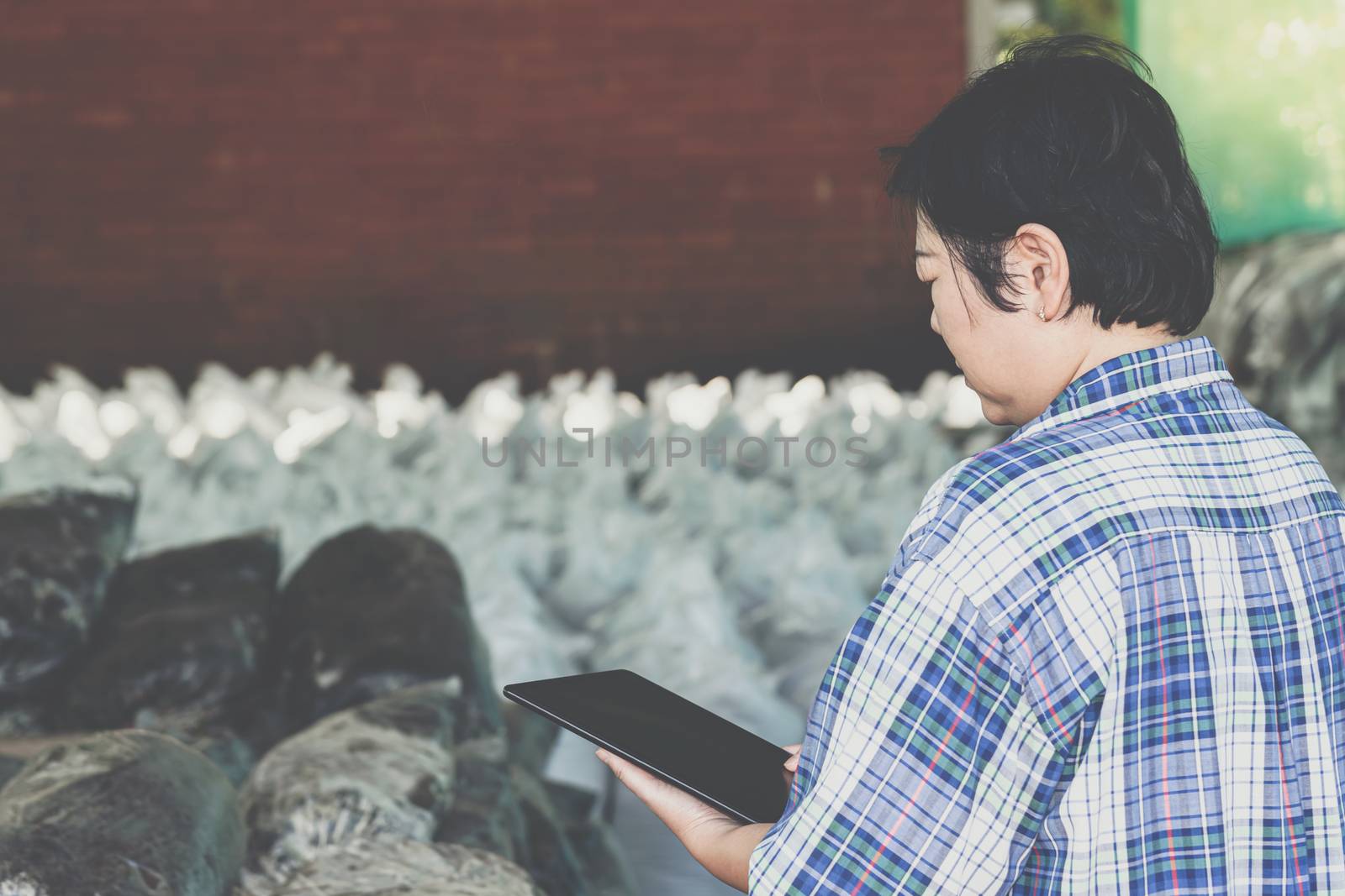 Asian woman smart farmer agriculturist working at Fertilizer composting plant with Organic Fertilizer, Compost (Aerobic Microorganisms) from animal waste for use in the organic agriculture industry