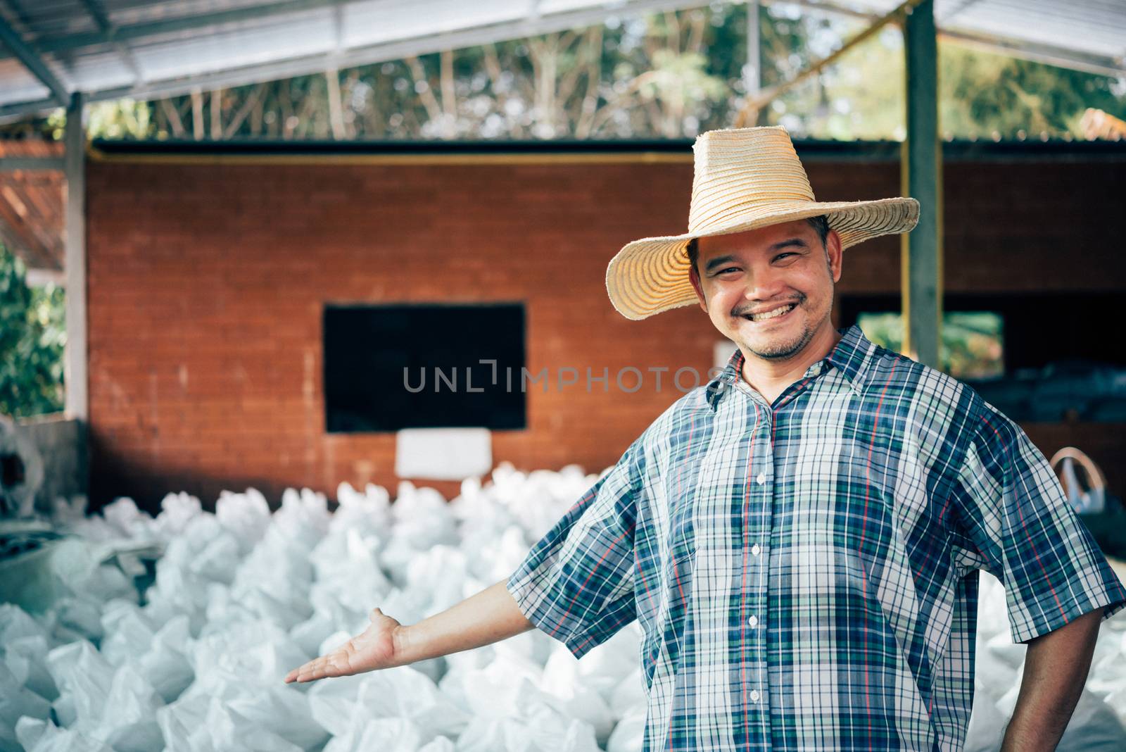 Asian man farmer agriculturist happy at a Fertilizer composting plant with Organic Fertilizer, Compost (Aerobic Microorganisms) from animal waste for use in the organic agriculture industry