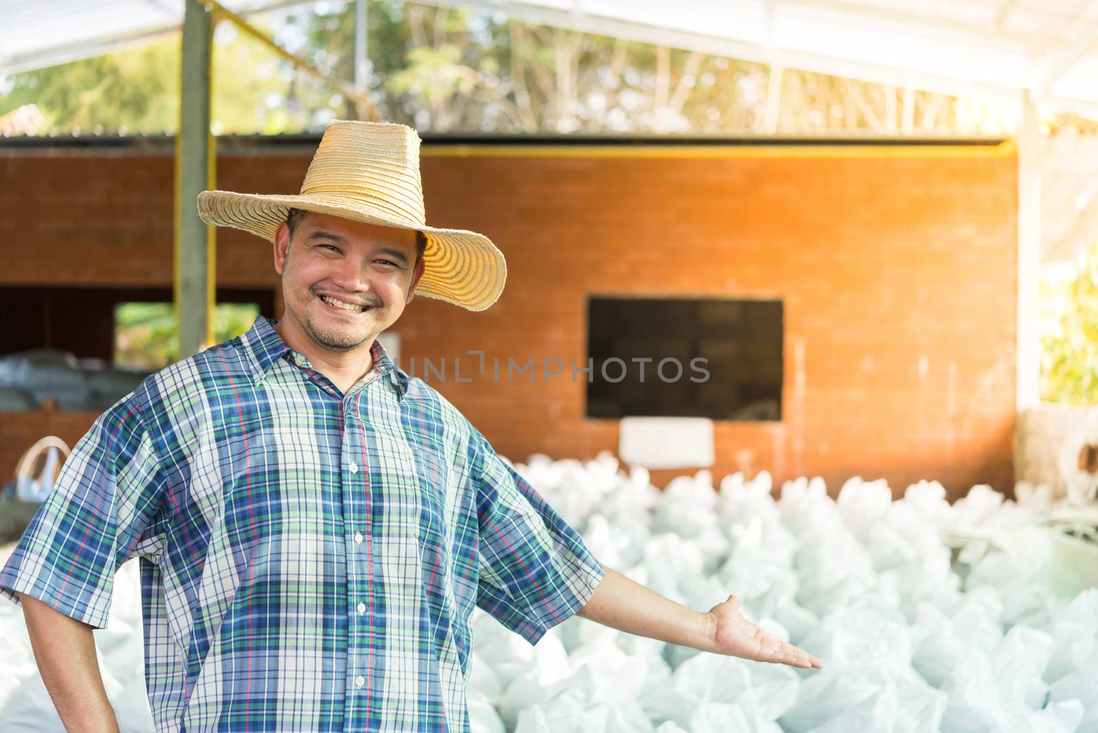 Asian man farmer agriculturist happy at a Fertilizer composting plant with Organic Fertilizer, Compost (Aerobic Microorganisms) from animal waste for use in the organic agriculture industry