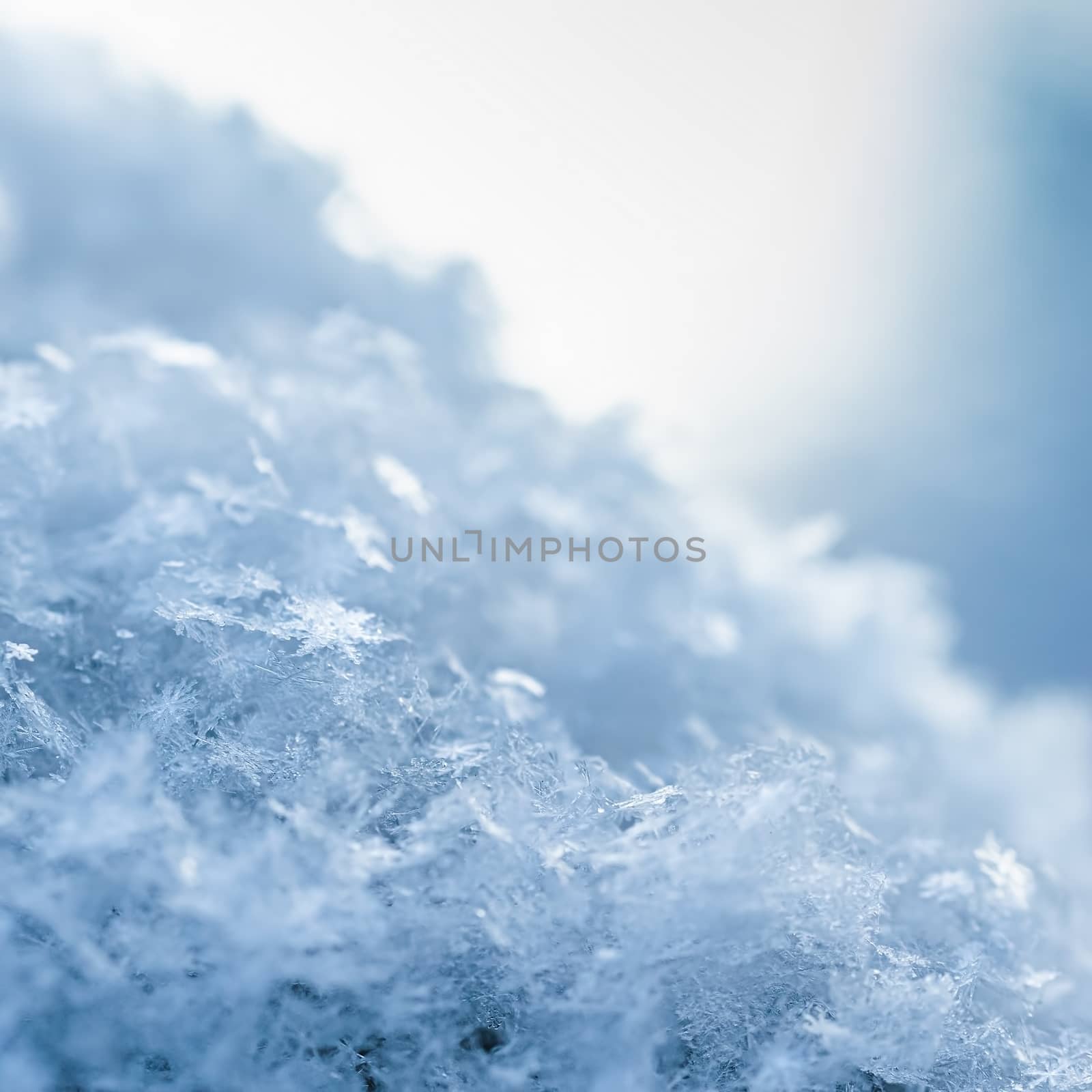 Snow-covered branches of trees on a frosty winter day.