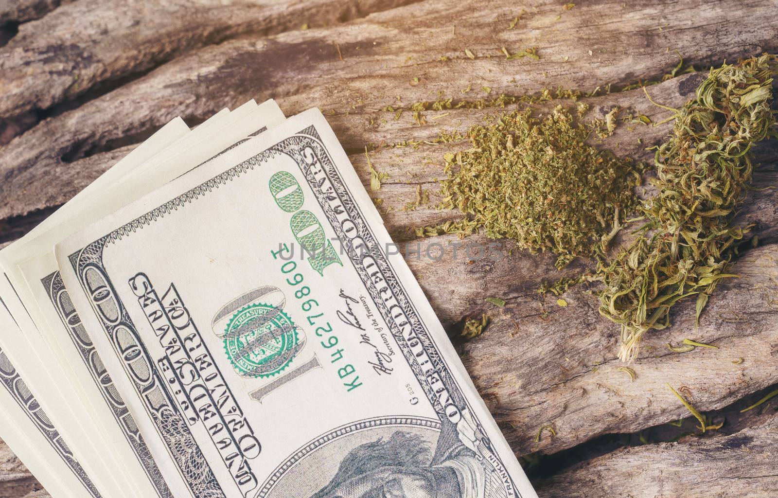 dried cannabis medical marijuana with dollar bill by anankkml