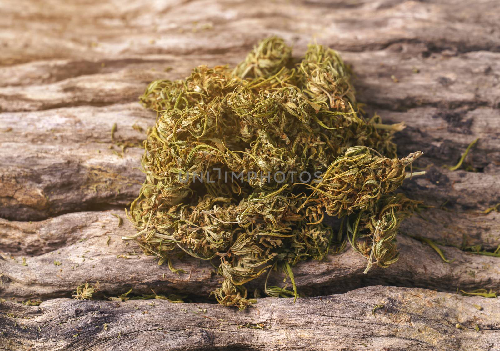 dried cannabis medical marijuana on wooden background