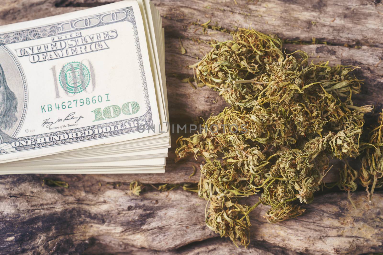 dried cannabis medical marijuana with dollar bill by anankkml