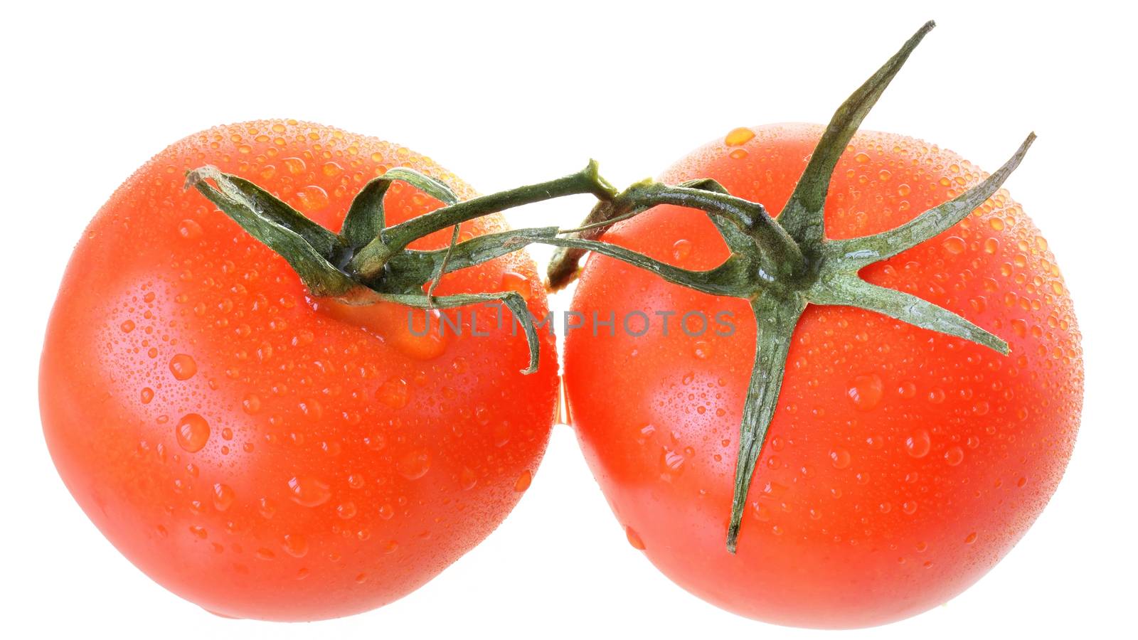 Two tomato on branch top view isolated on white background.