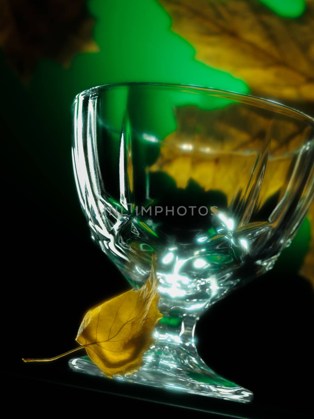 A transparent crystal glass on a dark green background with yellow autumn leaves