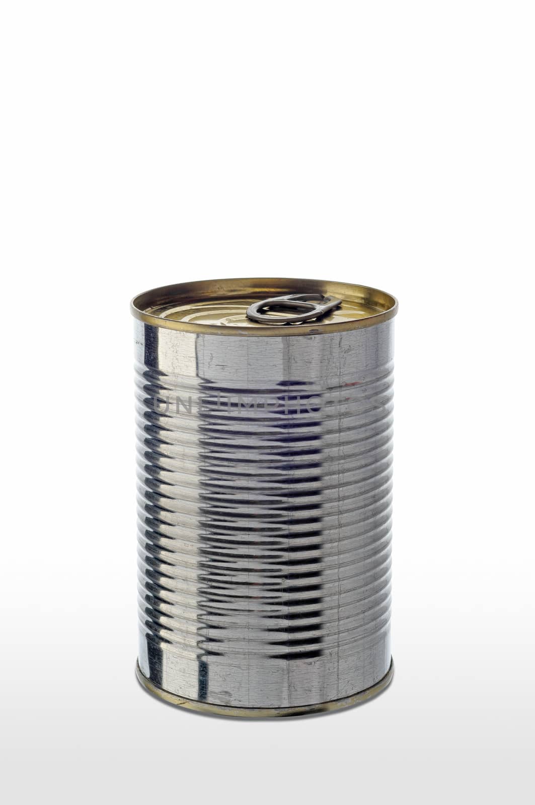 A simple tomato tin can on white background