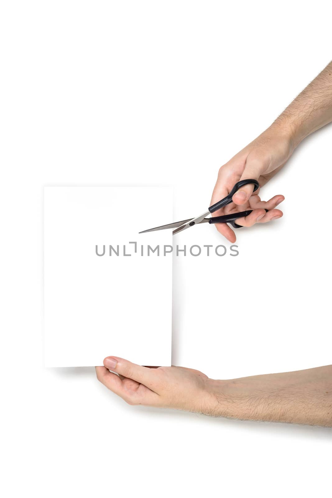 A woman is cutting a sheet of white paper using  metallic scissors, isolated on white background