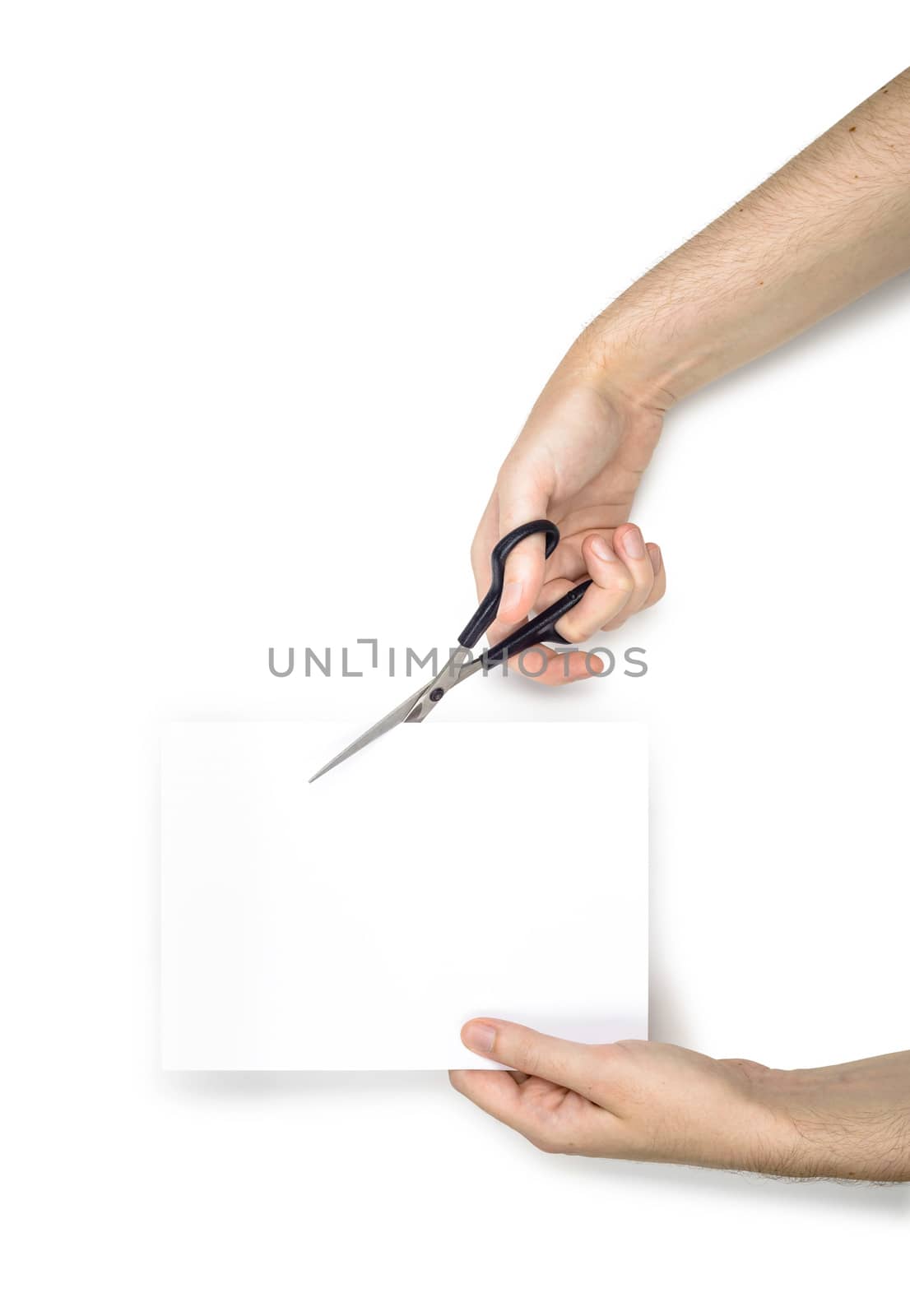 A woman is cutting a sheet of white paper using  metallic scissors, isolated on white background