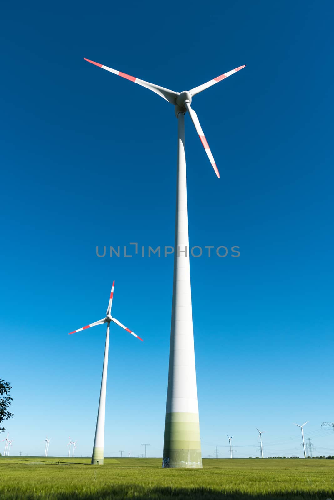 Windmill-powered plant by elxeneize