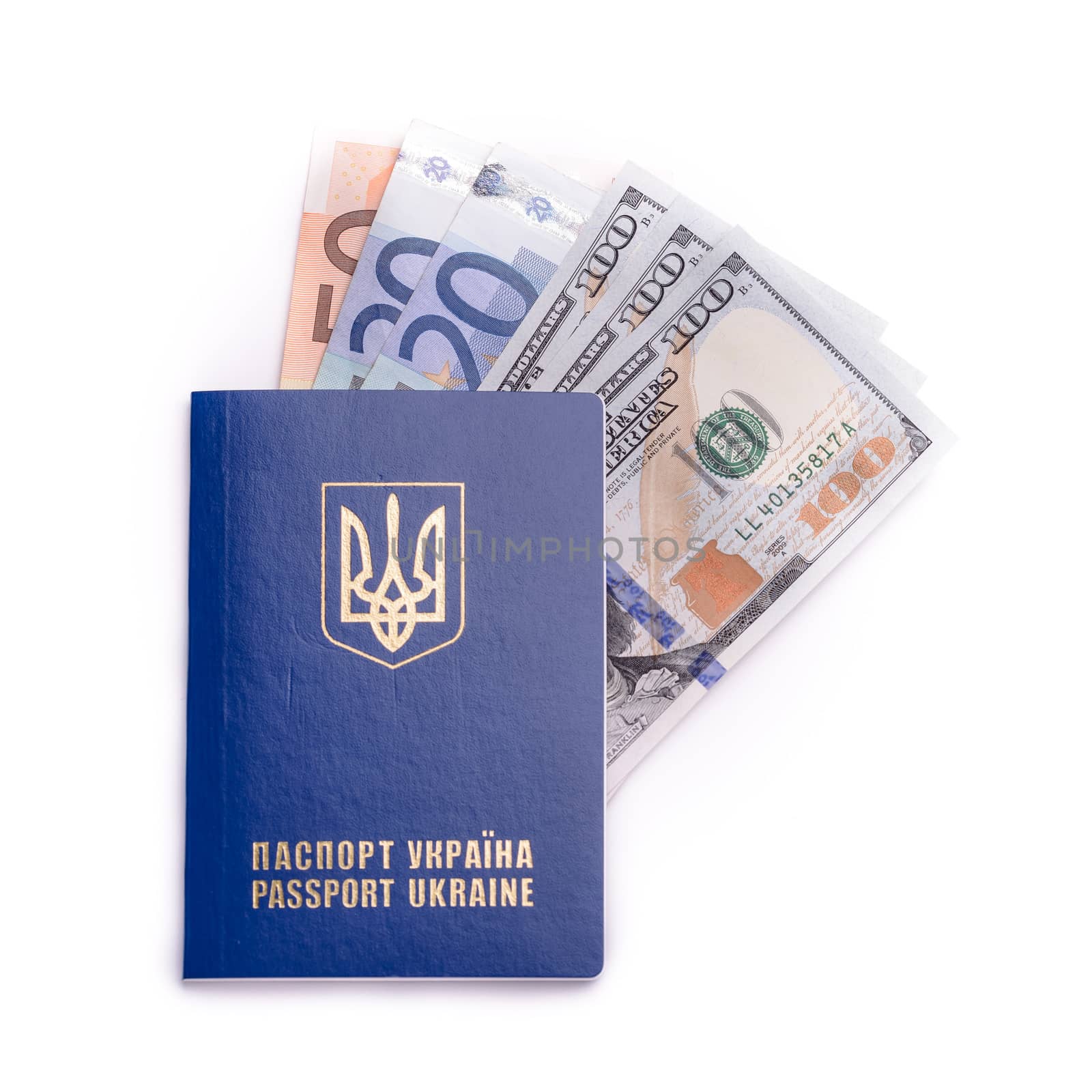 Ukrainian International Passport With Banknotes by MaxalTamor