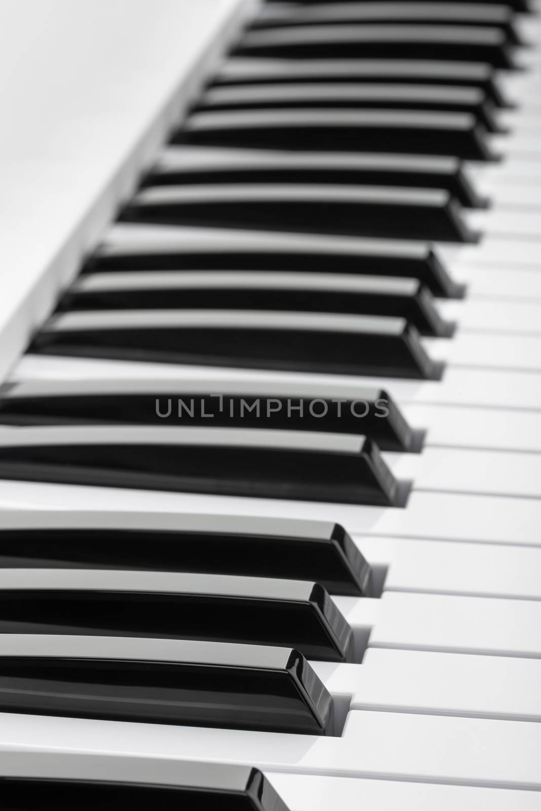 Black and white keys of a music keyboard by MaxalTamor