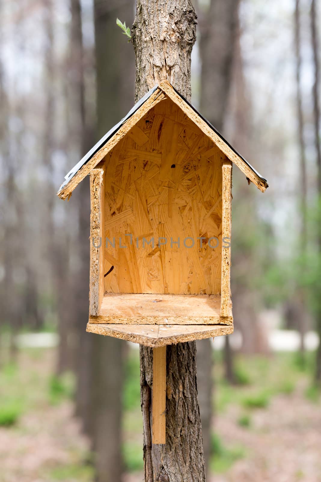 Handwork bird house made of chipboard and zinc in the woods during spring