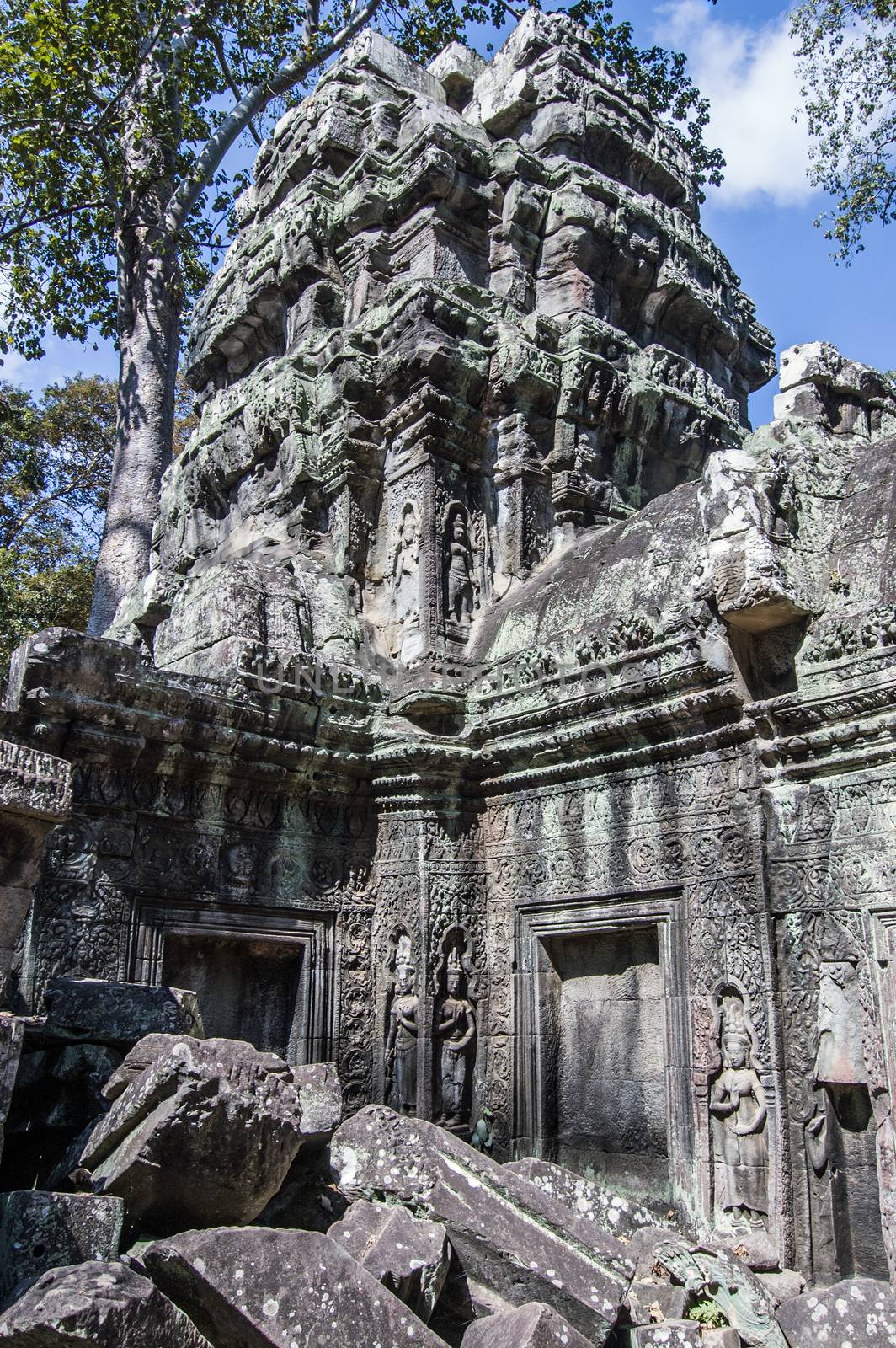 Ruins of Ta Prohm Temple, Cambodia by BasPhoto