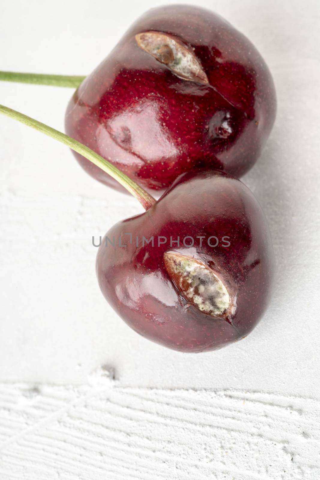 closeup mouldy cherry fruits on white background by bernanamoglu