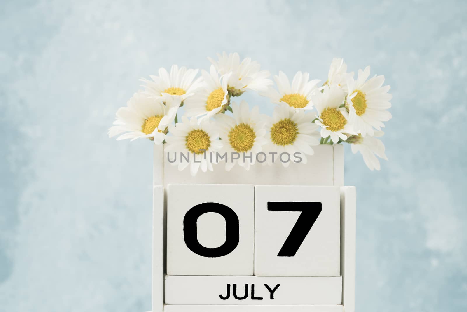 White cube calendar for july decorated with daisy flowers over blue background with copy space