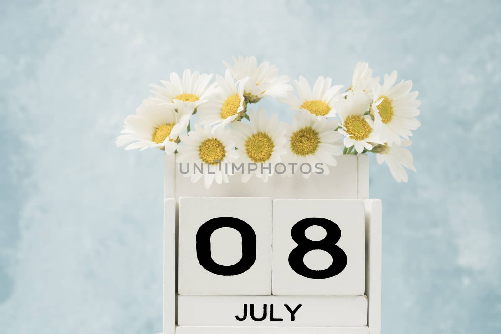 White cube calendar for july decorated with daisy flowers by bernanamoglu