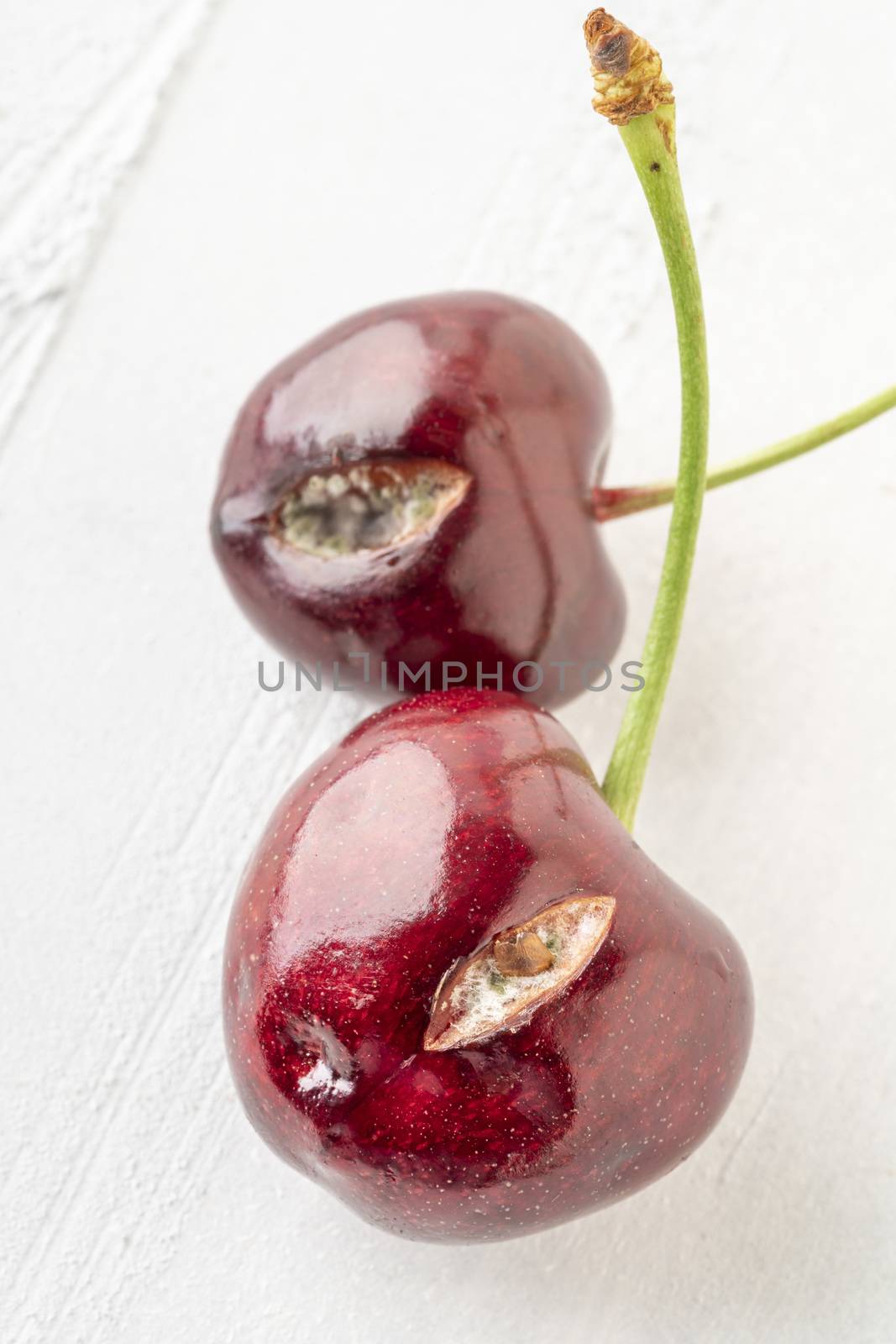 closeup of mouldy cherry fruits on a white background with copy space