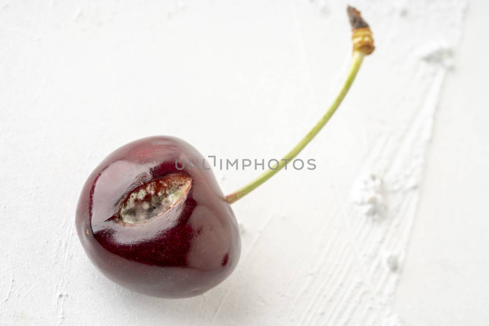 closeup of mouldy cherry fruit on a white background with copy space