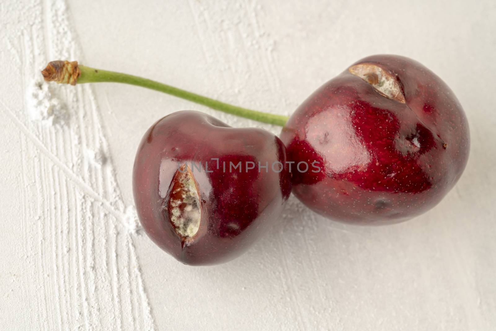 closeup of mouldy cherry fruits on a white background by bernanamoglu